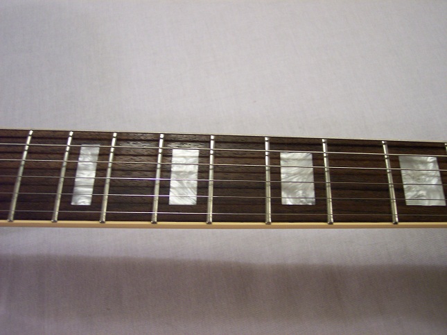 Bluesbird Picture 5